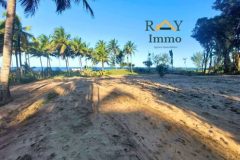 À VENDRE – Terrain nu pieds dans l&rsquo;eau et au bord de la route RN5 – PK25 Toamasina 2