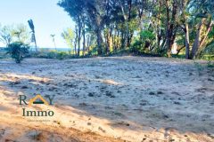 À VENDRE – Terrain nu exceptionnel pieds dans l&rsquo;eau et au bord de la route RN5 – PK25 Toamasina 2