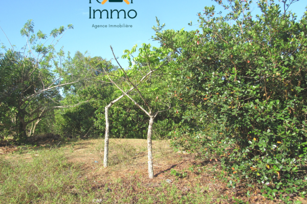 A VENDRE en EXCLUSIVITE : Terrain au bord de la route RN5 Antetezambaro PK 15 Tamatave II