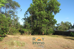 A VENDRE en EXCLUSIVITE : Terrain au bord de la route RN5 Antetezambaro PK 15 Tamatave II