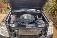 Rexton phase III – Rx7